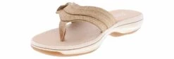 Clarks Breeze Dalia Sand Cloudstepper Women’s Sandal 10 Clarks Breeze Dalia Sand Cloudstepper Women’s Sandal -Shoe Sensation Shop clarks 26181756 breezedaliasandcloudstepr beige05
