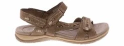 JBU Stephie Brown Women’s Comfort Sandal 7 JBU Stephie Brown Women’s Comfort Sandal -Shoe Sensation Shop jbu stephie brown stephiebrownstrapsandal brown02