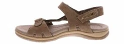 JBU Stephie Brown Women’s Comfort Sandal 9 JBU Stephie Brown Women’s Comfort Sandal -Shoe Sensation Shop jbu stephie brown stephiebrownstrapsandal brown04